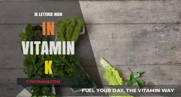 Unlocking the Nutritional Power of Lettuce: A Vitamin K Perspective