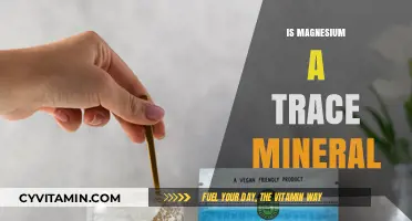 Unveiling the Role of Magnesium: Trace Mineral or Essential Nutrient?