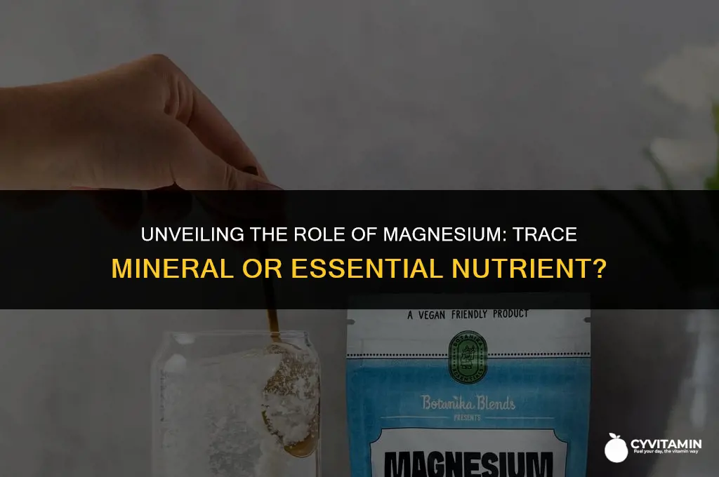 is magnesium a trace mineral