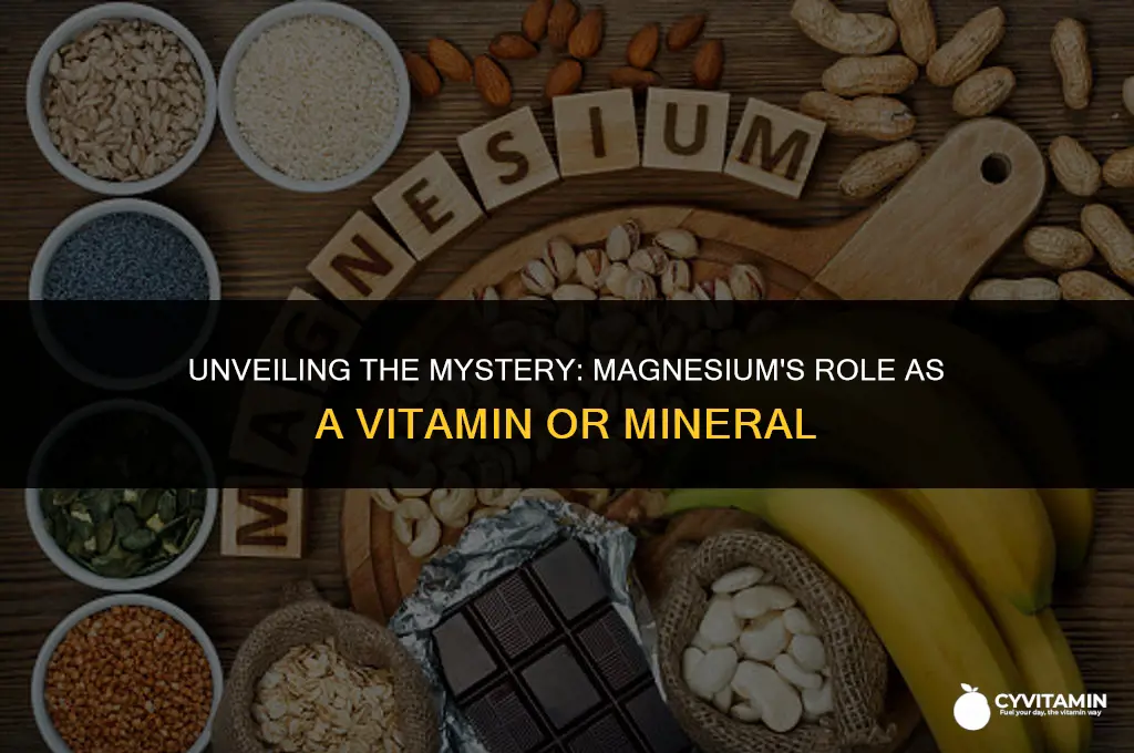 is magnesium a vitamin or mineral