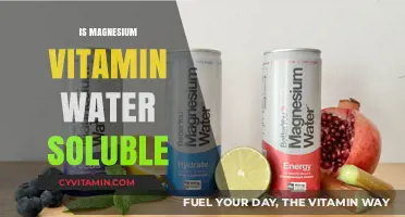 Exploring the Solubility of Magnesium in Vitamin Water: A Comprehensive Guide