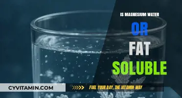 Exploring Magnesium's Solubility: Water or Fat?