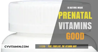 Nurturing Nature: The Benefits of Prenatal Vitamins Explored