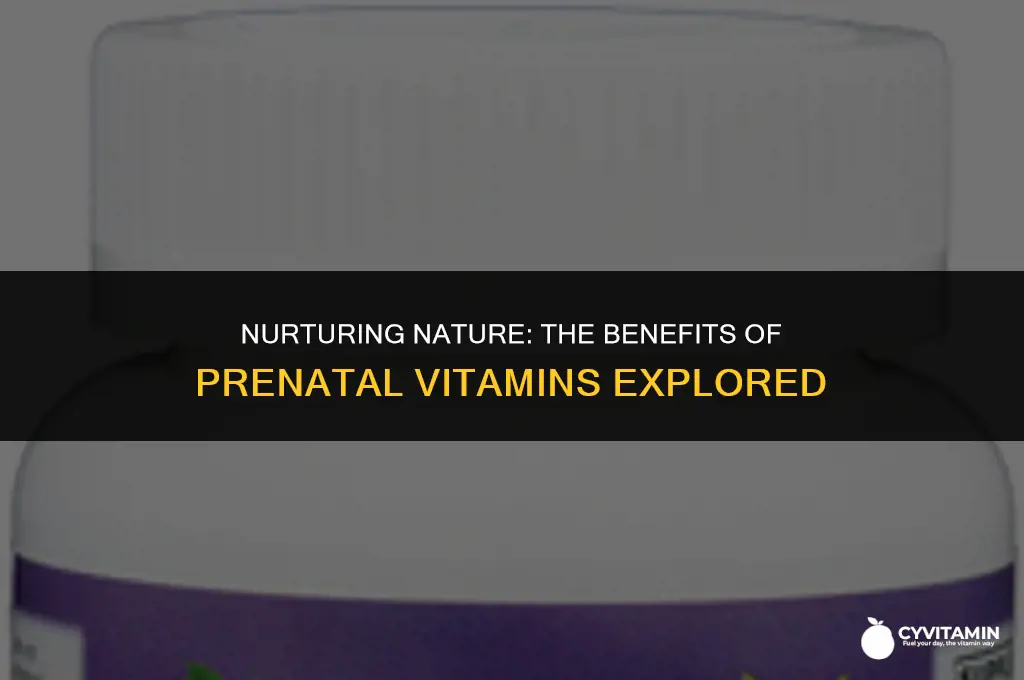 is nature made prenatal vitamins good