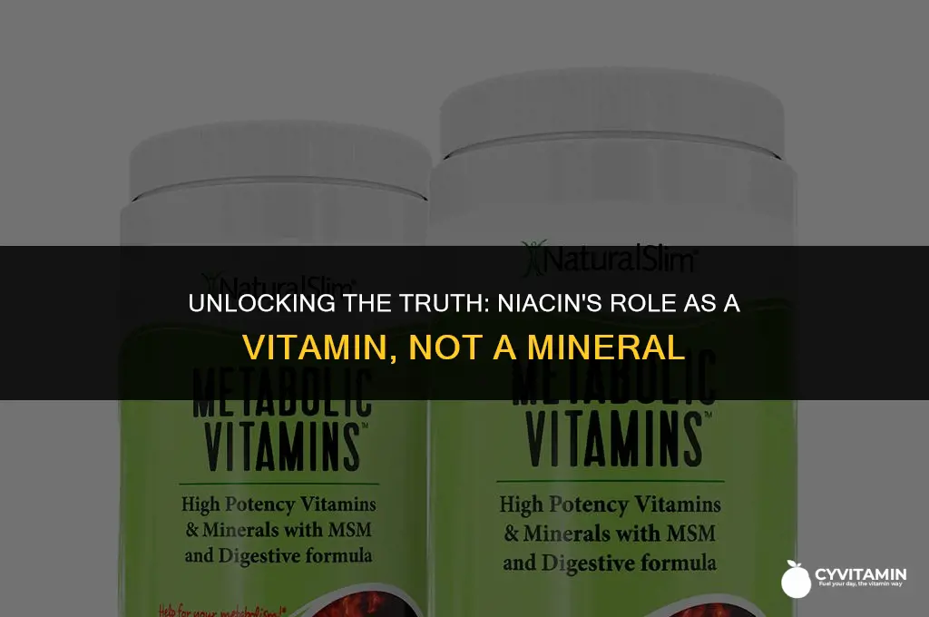 is niacin a mineral