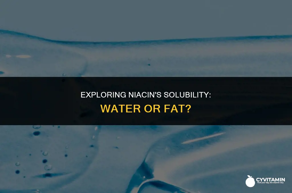 is niacin water or fat soluble