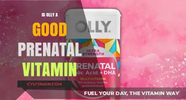 Evaluating Olly Prenatal Vitamins: A Comprehensive Review for Expectant Mothers