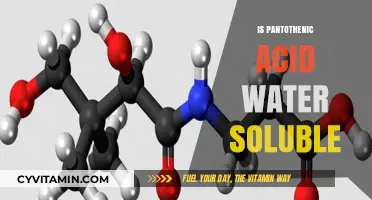 Exploring the Solubility of Pantothenic Acid in Water: A Comprehensive Guide