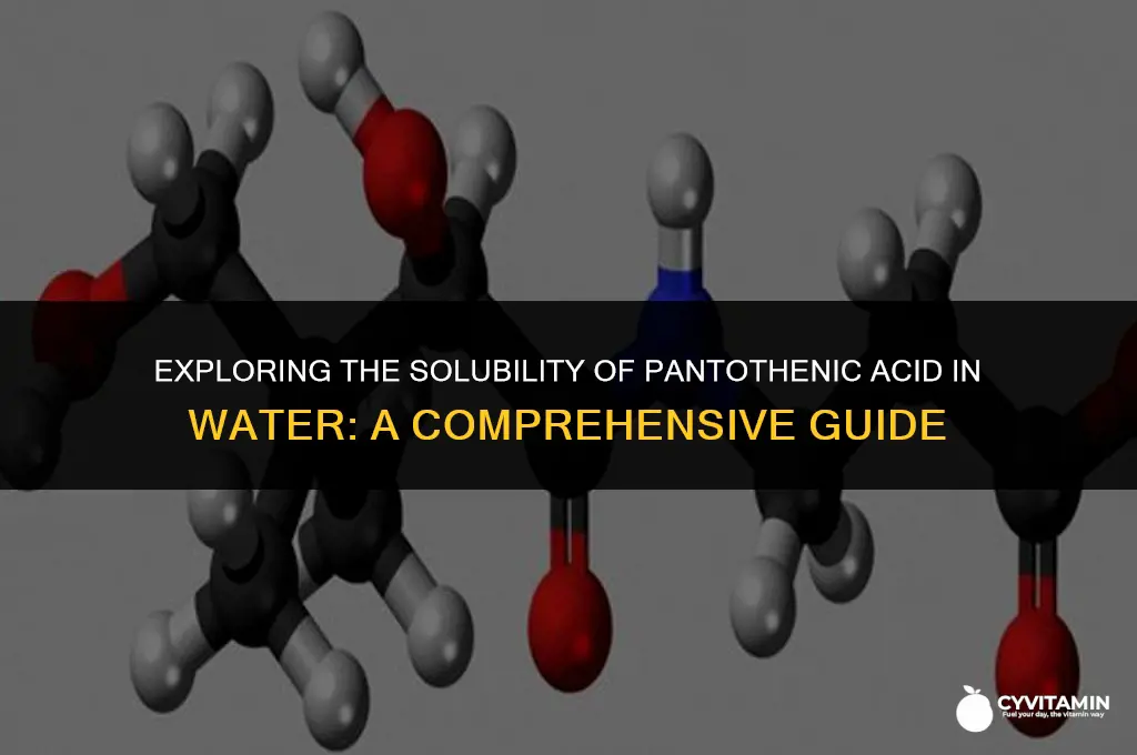 is pantothenic acid water soluble