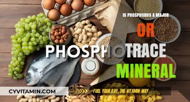 Unveiling the Role of Phosphorus: Major or Trace Mineral?