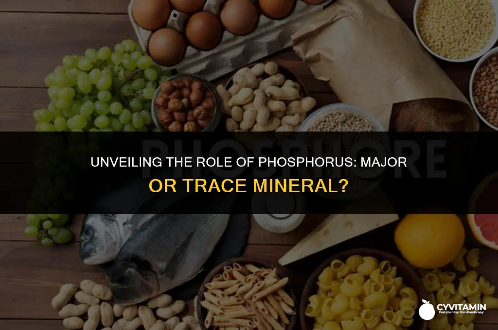 is phosphorus a major or trace mineral