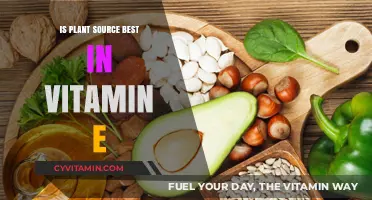 Plant-Based Vitamin E: Superior Source or Just a Myth?