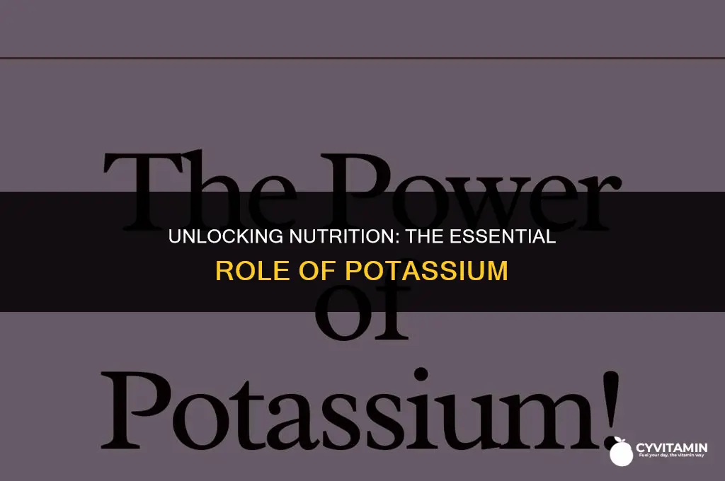is potassium a vitamin or mineral