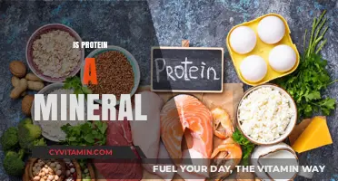 Unraveling the Myth: Protein - A Mineral or Not?