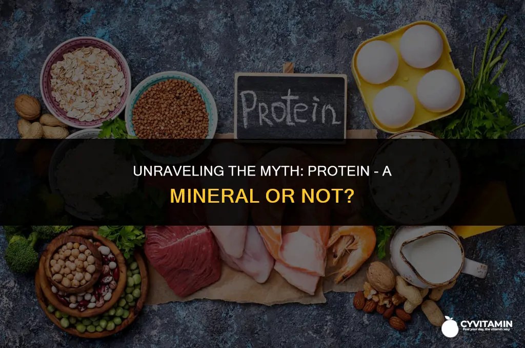 is protein a mineral