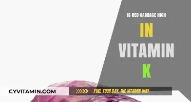 Boosting Health: The Vitamin K Powerhouse in Red Cabbage