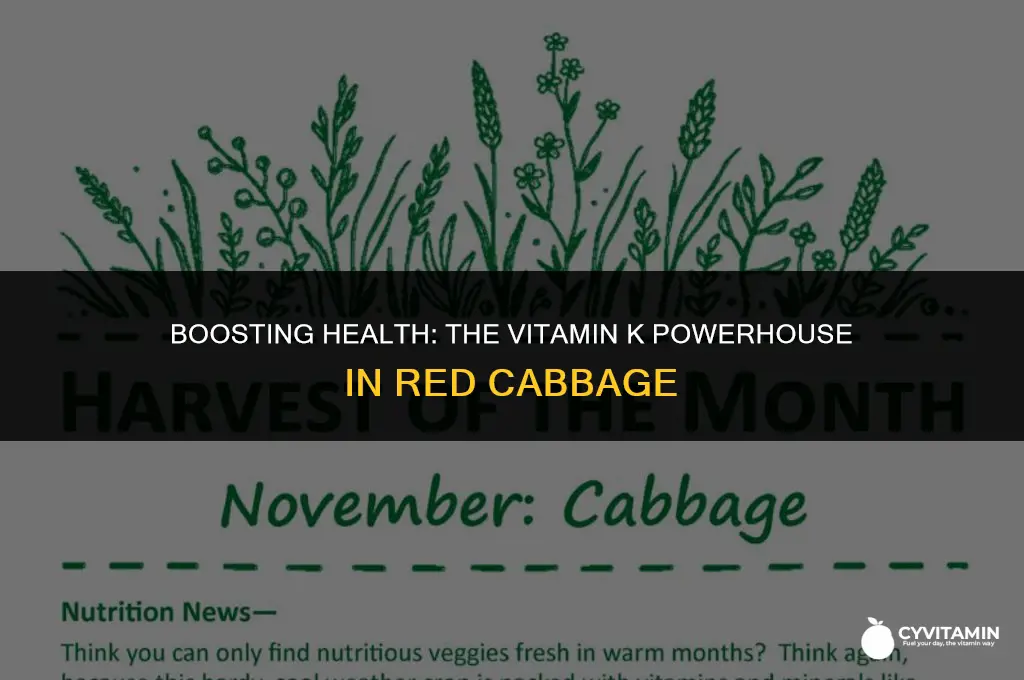 is red cabbage high in vitamin k