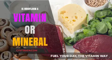 Riboflavin: Unraveling the Mystery of Vitamin B2