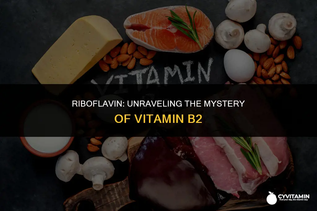 is riboflavin a vitamin or mineral