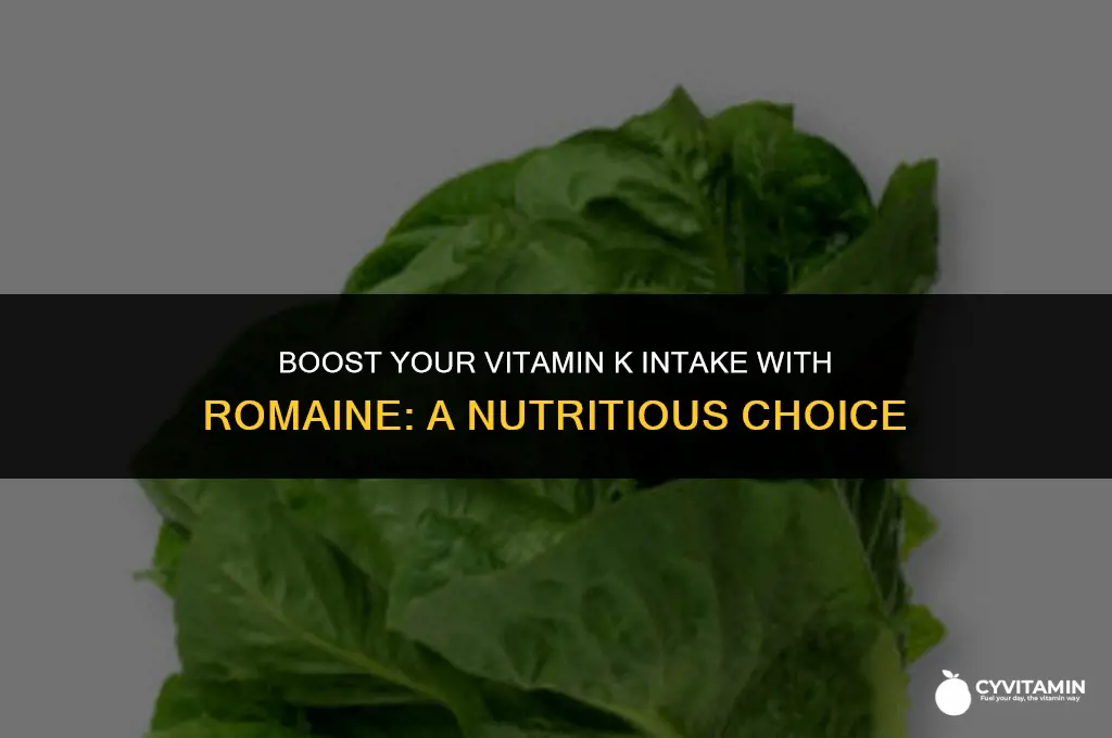is romaine high in vitamin k