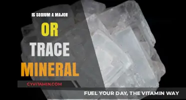 Understanding Sodium: Major Mineral or Trace Element?