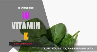 Boosting Your Vitamin K Intake: The Spinach Connection