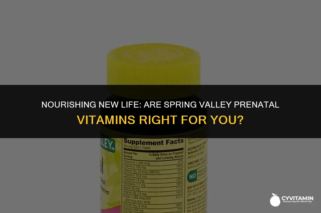 is spring valley prenatal vitamins good for pregnancy