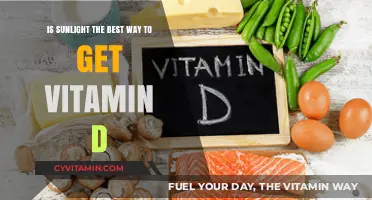 Sunlight vs. Supplements: Unlocking the Best Vitamin D Source