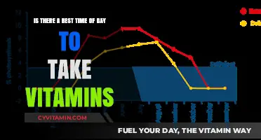 Optimal Vitamin Timing: When to Take Your Daily Supplements