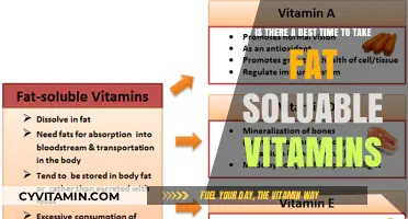 When to Take Fat-Soluble Vitamins: Timing for Optimal Absorption