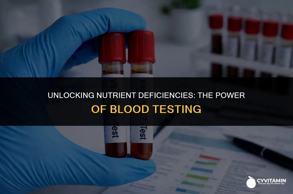 is there a blood test to determine vitamin deficiency