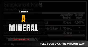 Exploring Thiamin: Is This Essential Nutrient a Mineral?
