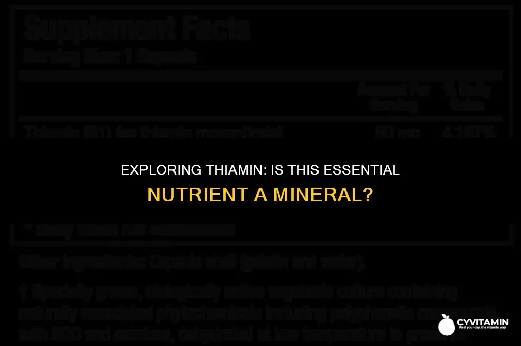 is thiamin a mineral