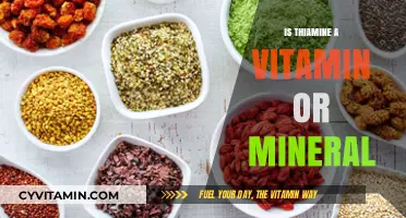 Exploring Thiamine: Vitamin or Mineral? A Nutritional Insight