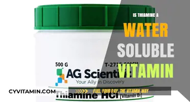 Exploring Thiamine: The Essential Water-Soluble Vitamin
