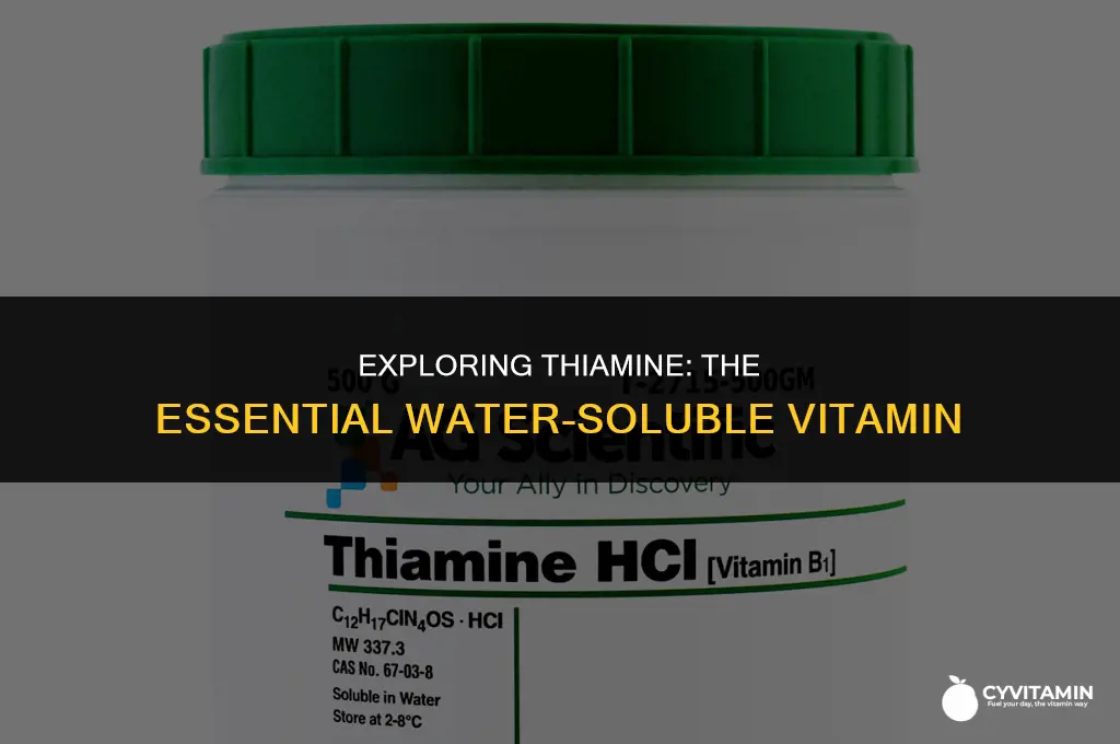 is thiamine a water soluble vitamin