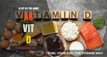 Exploring the Differences: Vitamin D3 vs. Vitamin D