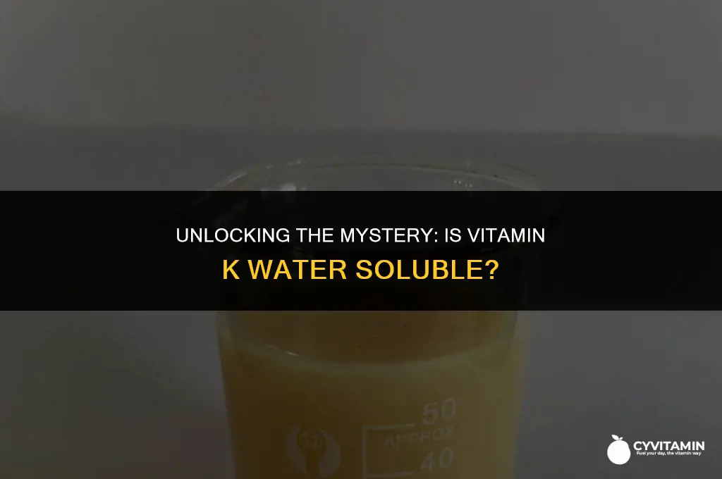 is vit k water soluble