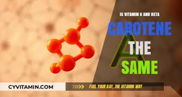 Unveiling the Truth: Vitamin A and Beta Carotene Explained