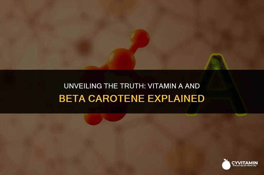 is vitamin a and beta carotene the same