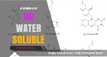 Unlocking the Mystery: Is Vitamin A Fat or Water Soluble?