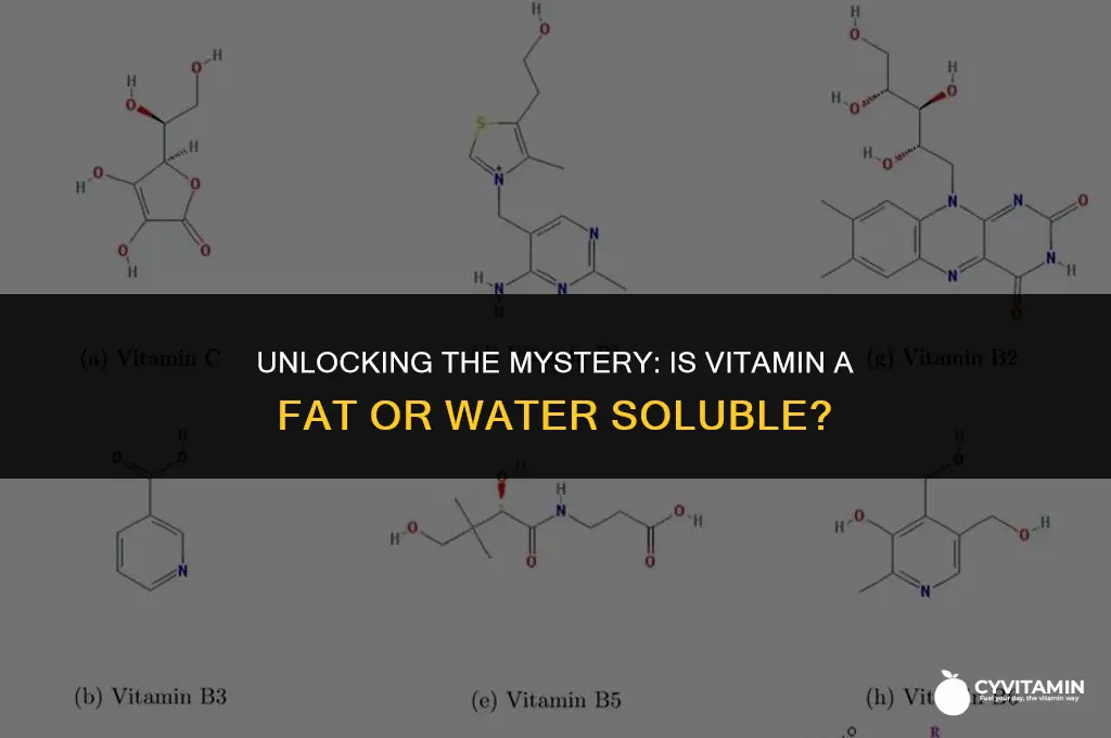is vitamin a fat or water soluble