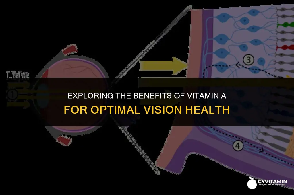 is vitamin a good for vision