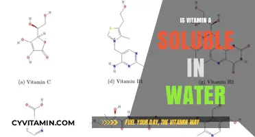 Exploring Vitamin A: Water Solubility and Essential Insights