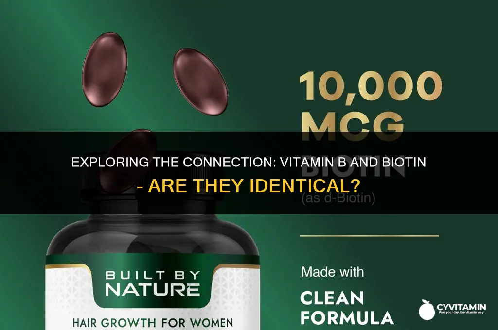 is vitamin b and biotin the same