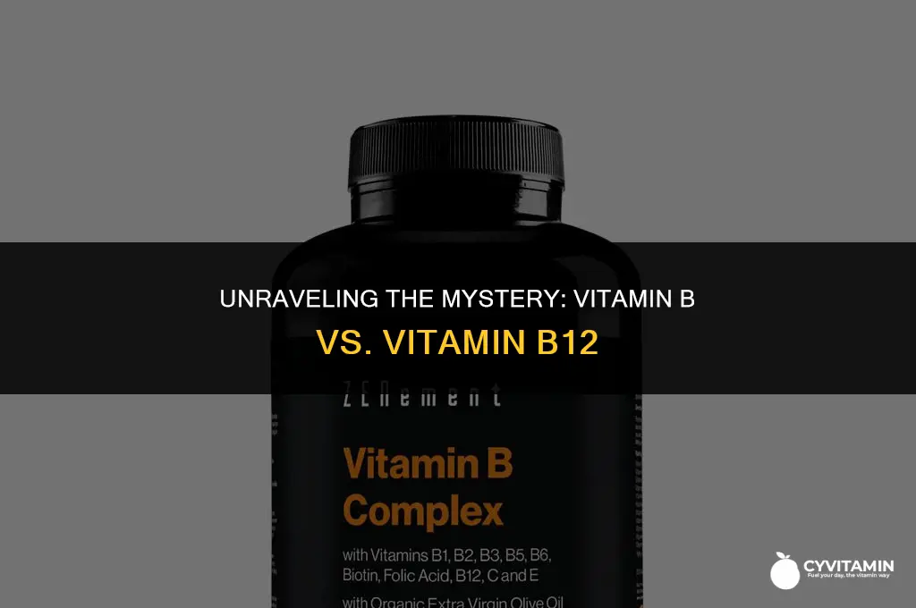 is vitamin b and vitamin b12 the same