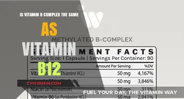 Decoding the Difference: Vitamin B Complex vs. Vitamin B12