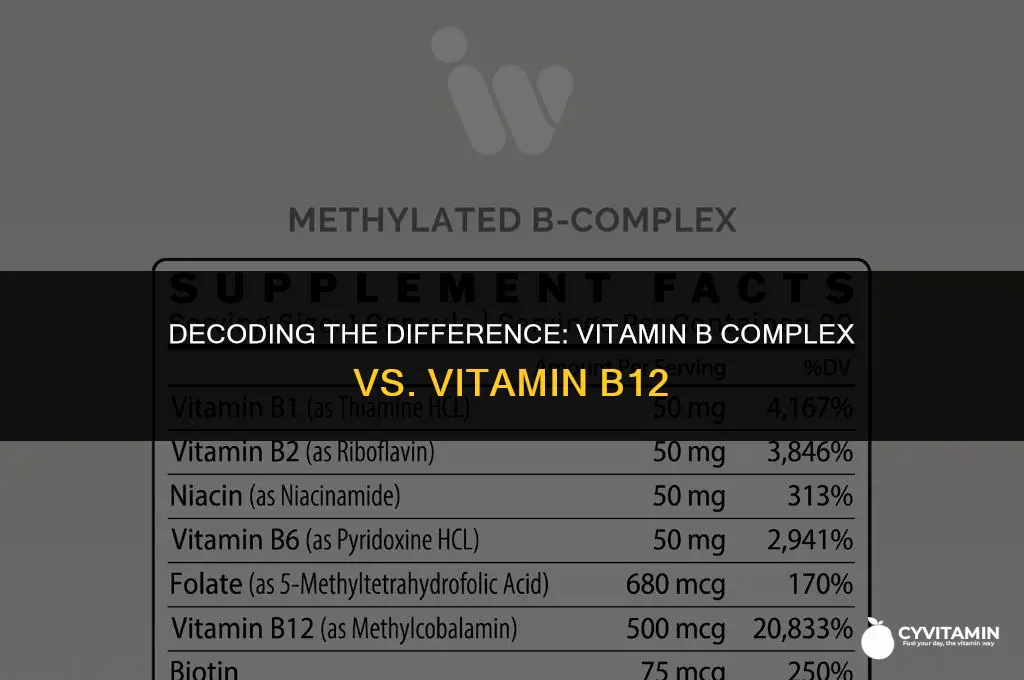 is vitamin b complex the same as vitamin b12