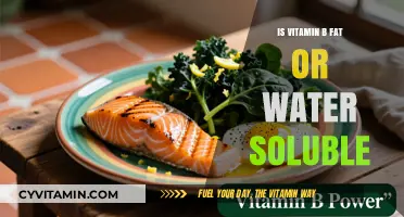 Exploring the Solubility of Vitamin B: Fat or Water?