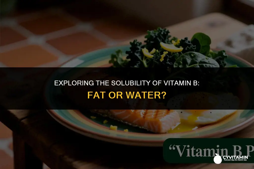 is vitamin b fat or water soluble